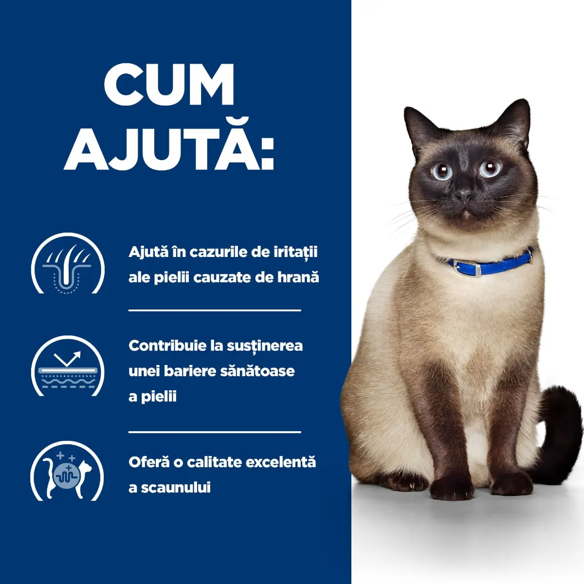 HILL'S Prescription Diet z/d Food Sensitivities, dieta veterinara pisici, conserva hrana umeda, afectiuni dermatologice si sistem digestiv, 156g - Image 3