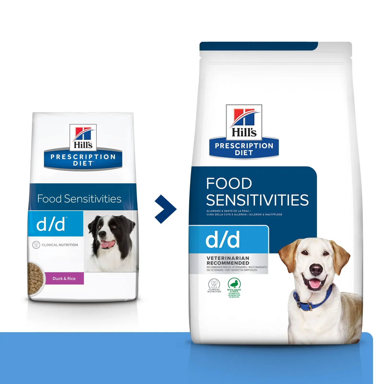 HILL'S Prescription Diet d/d Food Sensitivities, Rata cu Orez, dieta veterinara caini, hrana uscata, sensibilitati digestive HILL'S Prescription Diet d/d Food Sensitivities, Rata cu Orez, dieta veterinara caini, hrana uscata, piele & blana, sistem digest - Image 13