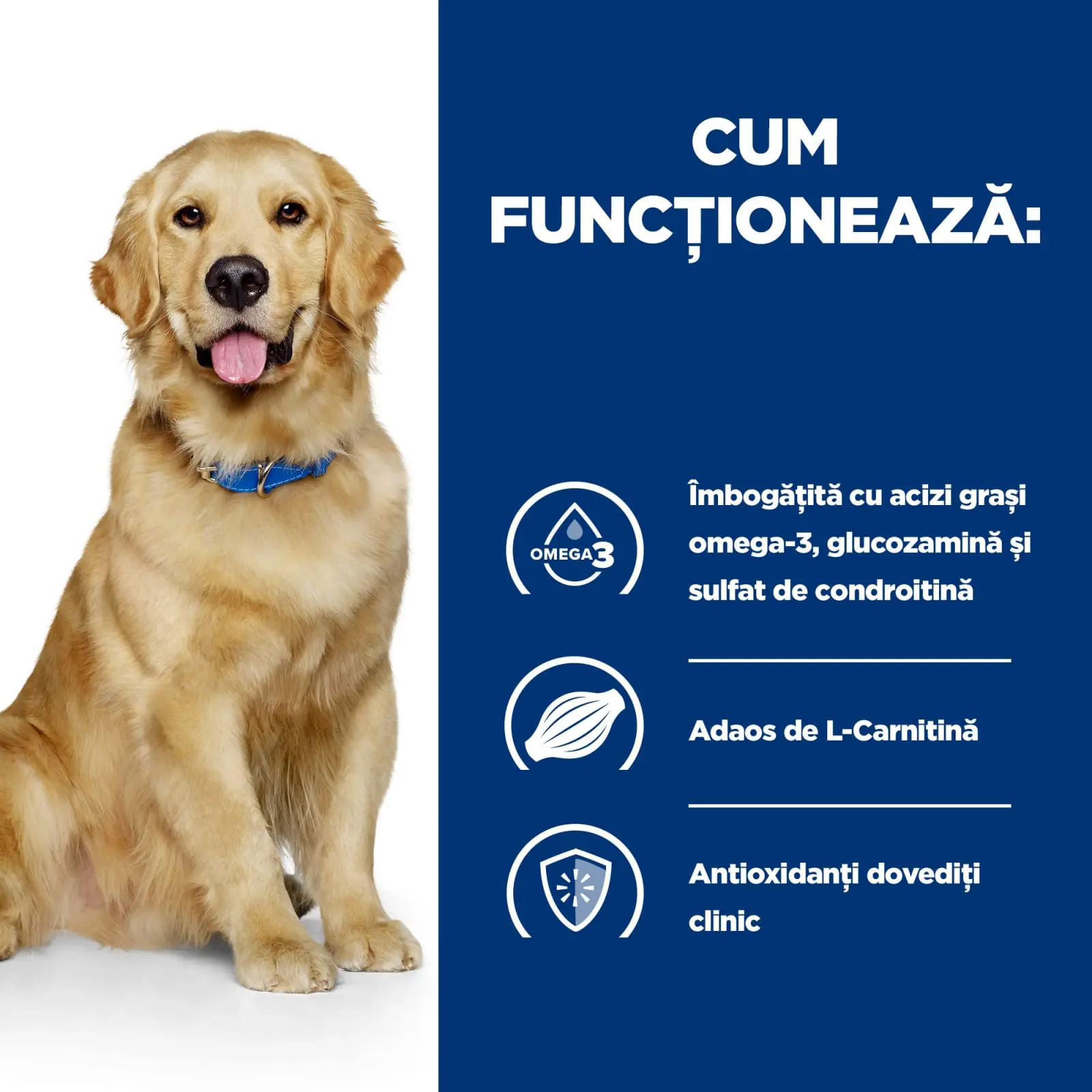 HILL'S Prescription Diet j/d Mobility, Pui, dieta veterinara caini, hrana uscata, afectiuni articulare HILL'S Prescription Diet j/d Mobility, Pui, dieta veterinara caini, hrana uscata, sistem articular, 16kg - Image 7