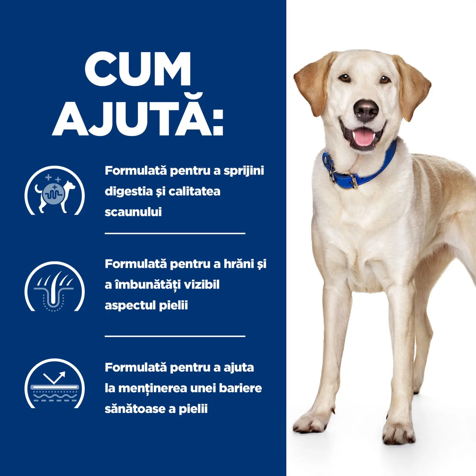 HILL'S Prescription Diet d/d Food Sensitivities, Rata cu Orez, dieta veterinara caini, hrana uscata, sensibilitati digestive HILL'S Prescription Diet d/d Food Sensitivities, Rata cu Orez, dieta veterinara caini, hrana uscata, piele & blana, sistem digest - Image 16