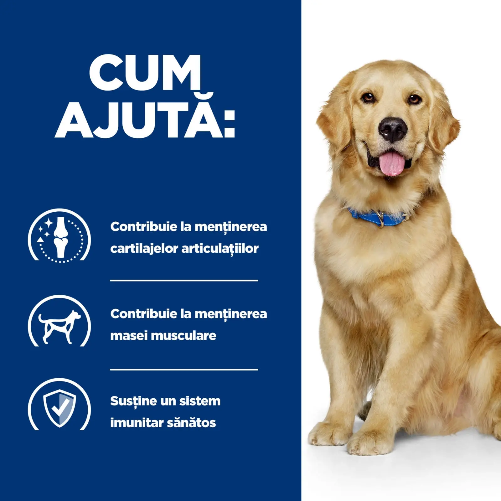 HILL'S Prescription Diet j/d Mobility, Pui, dieta veterinara caini, hrana uscata, afectiuni articulare HILL'S Prescription Diet j/d Mobility, Pui, dieta veterinara caini, hrana uscata, sistem articular, 16kg - Image 10