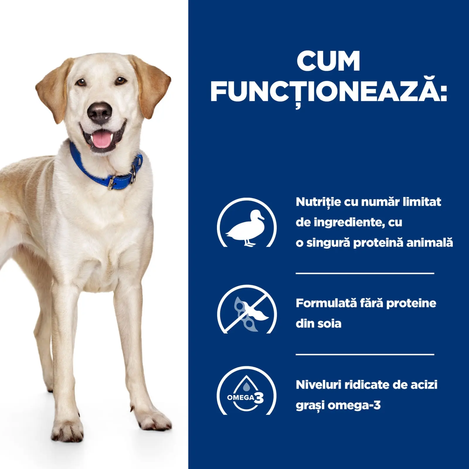 HILL'S Prescription Diet d/d Food Sensitivities, Rata cu Orez, dieta veterinara caini, hrana uscata, sensibilitati digestive HILL'S Prescription Diet d/d Food Sensitivities, Rata cu Orez, dieta veterinara caini, hrana uscata, piele & blana, sistem digest - Image 19