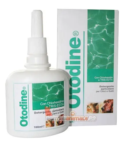 Otodine, 100 ml - Image 2