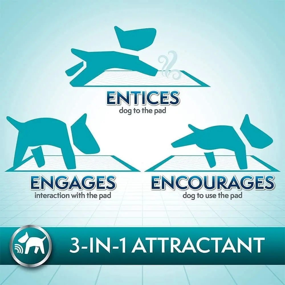 BRAMTON TRAINING PADS - 56 BUC - Image 7