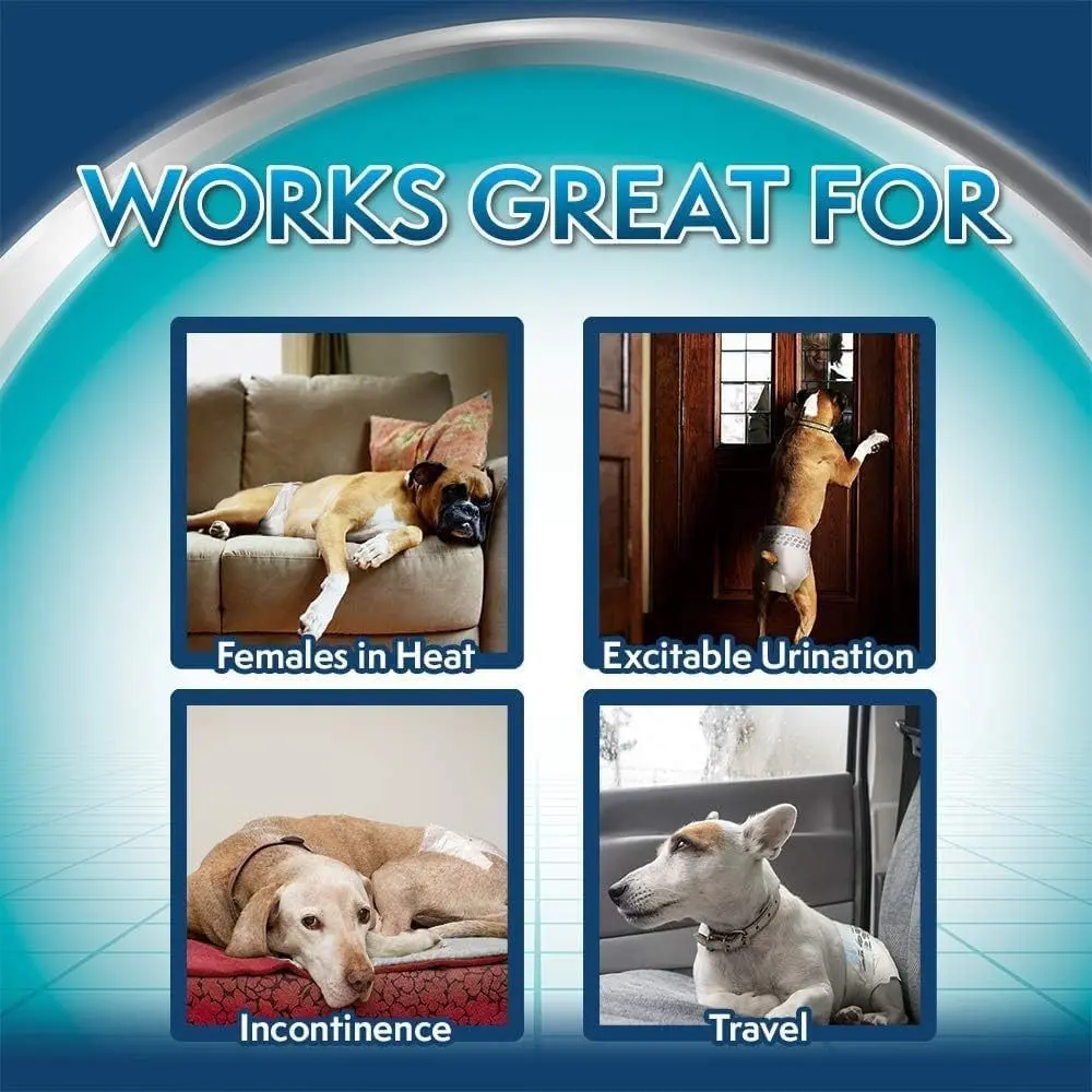 Simple Solution Scutece Caini XXL 12 buc - Image 3