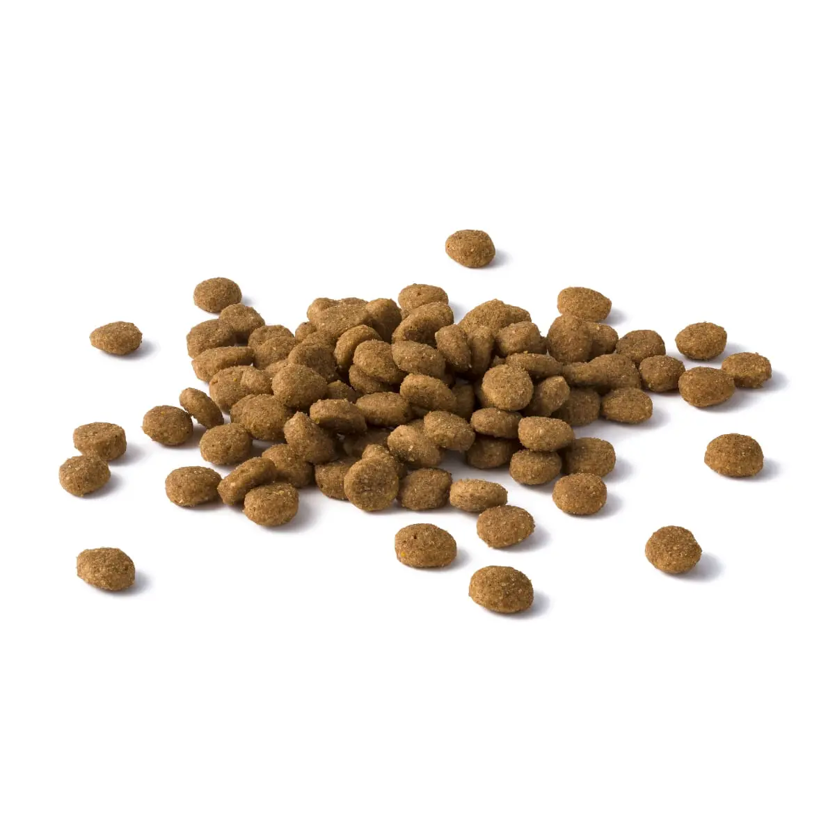 PURINA Dog Chow Adult Active, Pui, hrana uscata caini, activitate intensa, 2.5kg - Image 3