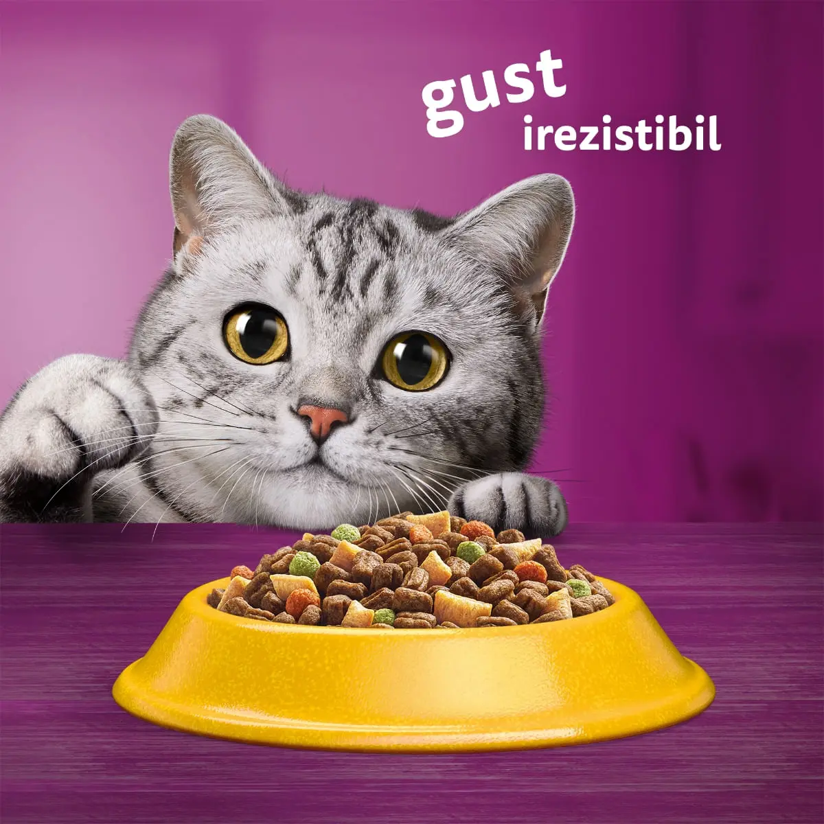 WHISKAS Adult, Pui, hrana uscata pisici, 1.4kg - Image 9