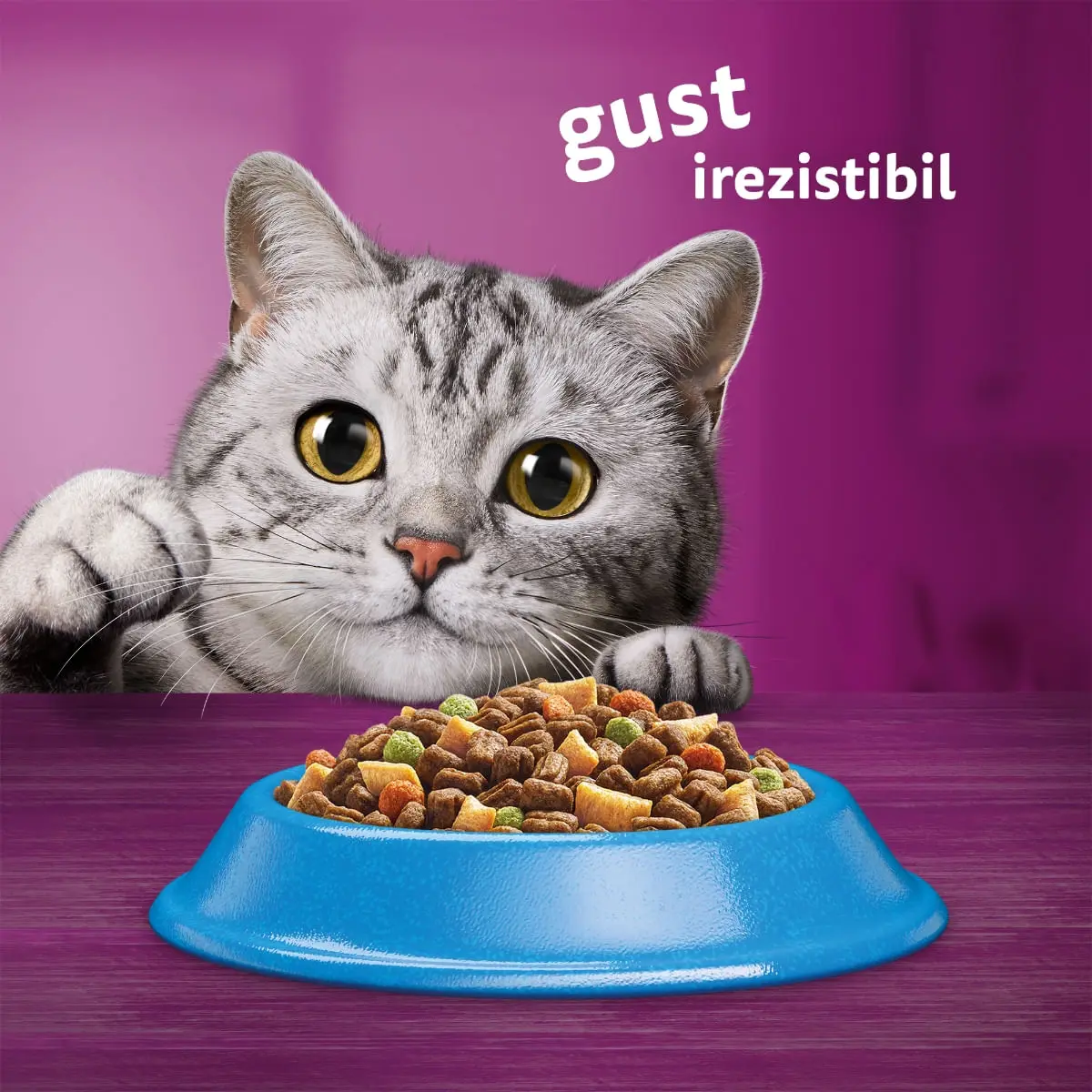 WHISKAS Adult, Ton, hrana uscata pisici, 1.4kg - Image 11