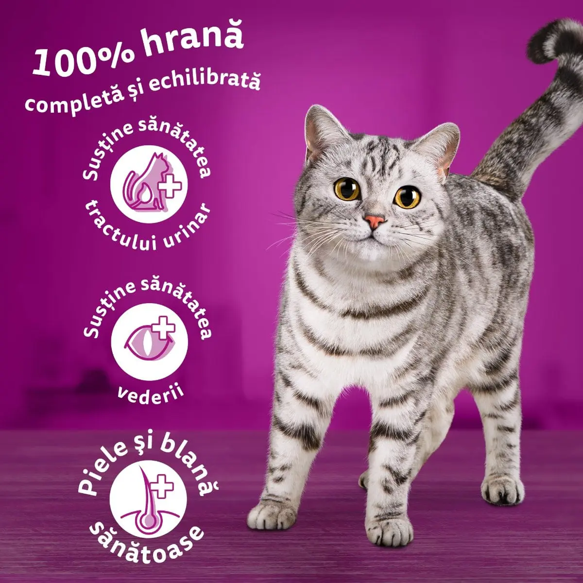 WHISKAS Adult, Pui, hrana uscata pisici, 1.4kg - Image 10