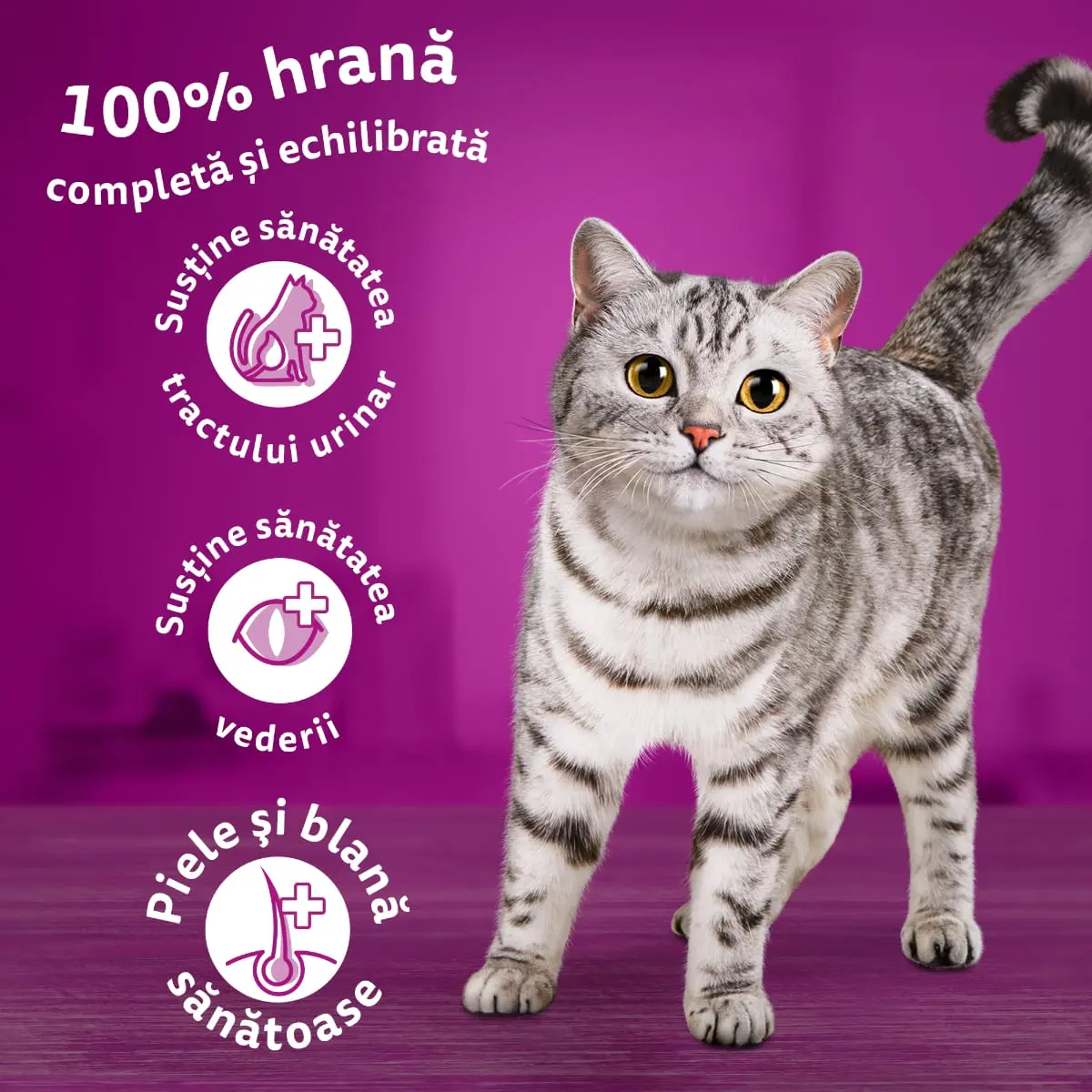 WHISKAS Adult, Ton, hrana uscata pisici, 14kg - Image 12