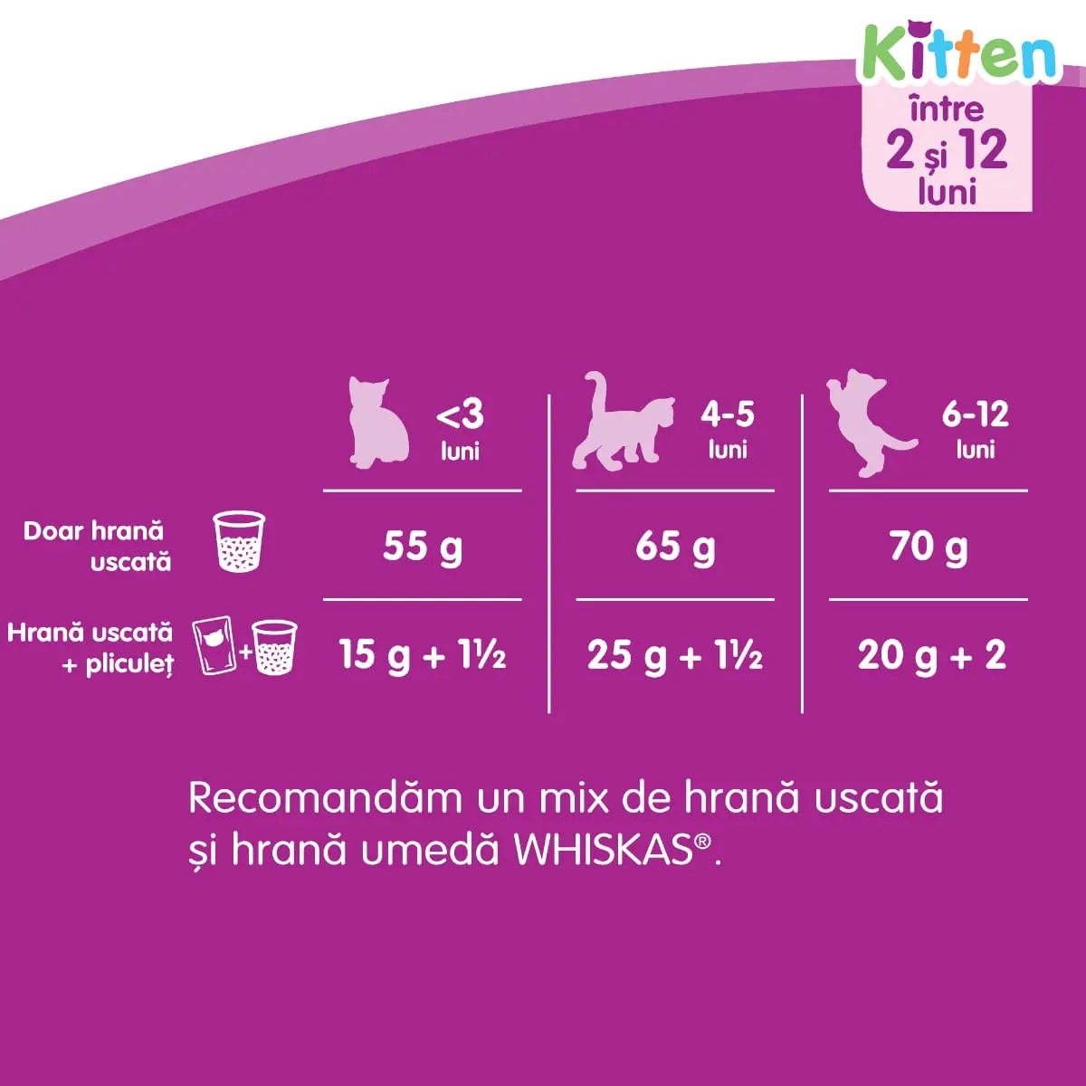 WHISKAS Junior, Pui, hrana uscata pisici junior, 14kg - Image 6