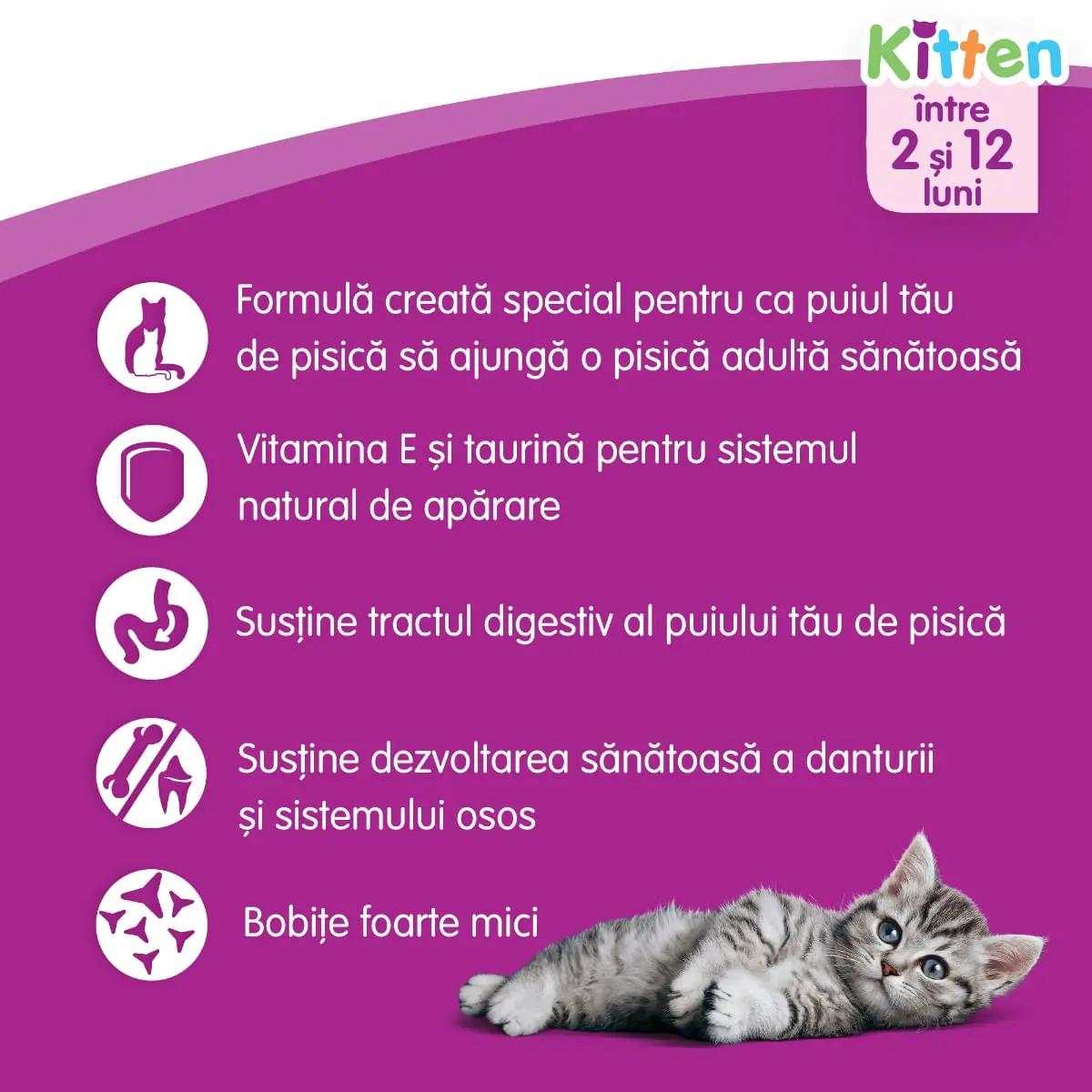WHISKAS Junior, Pui, hrana uscata pisici junior, 14kg - Image 9
