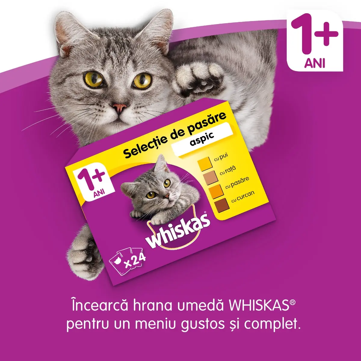 WHISKAS Adult, Vita, hrana uscata pisici, 14kg - Image 10