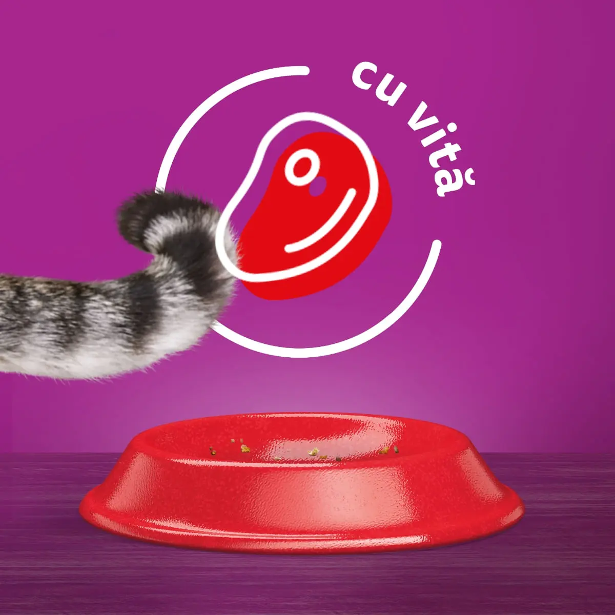 WHISKAS Adult, Vita, hrana uscata pisici, 1.4kg - Image 7