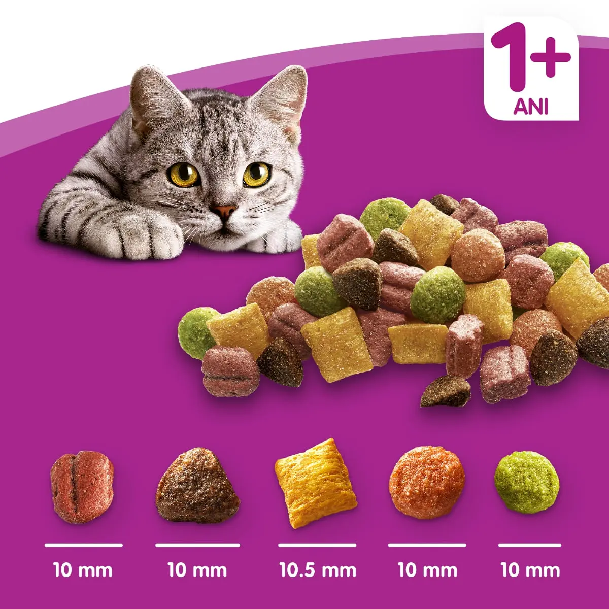 WHISKAS Adult, Vita, hrana uscata pisici, 14kg - Image 14