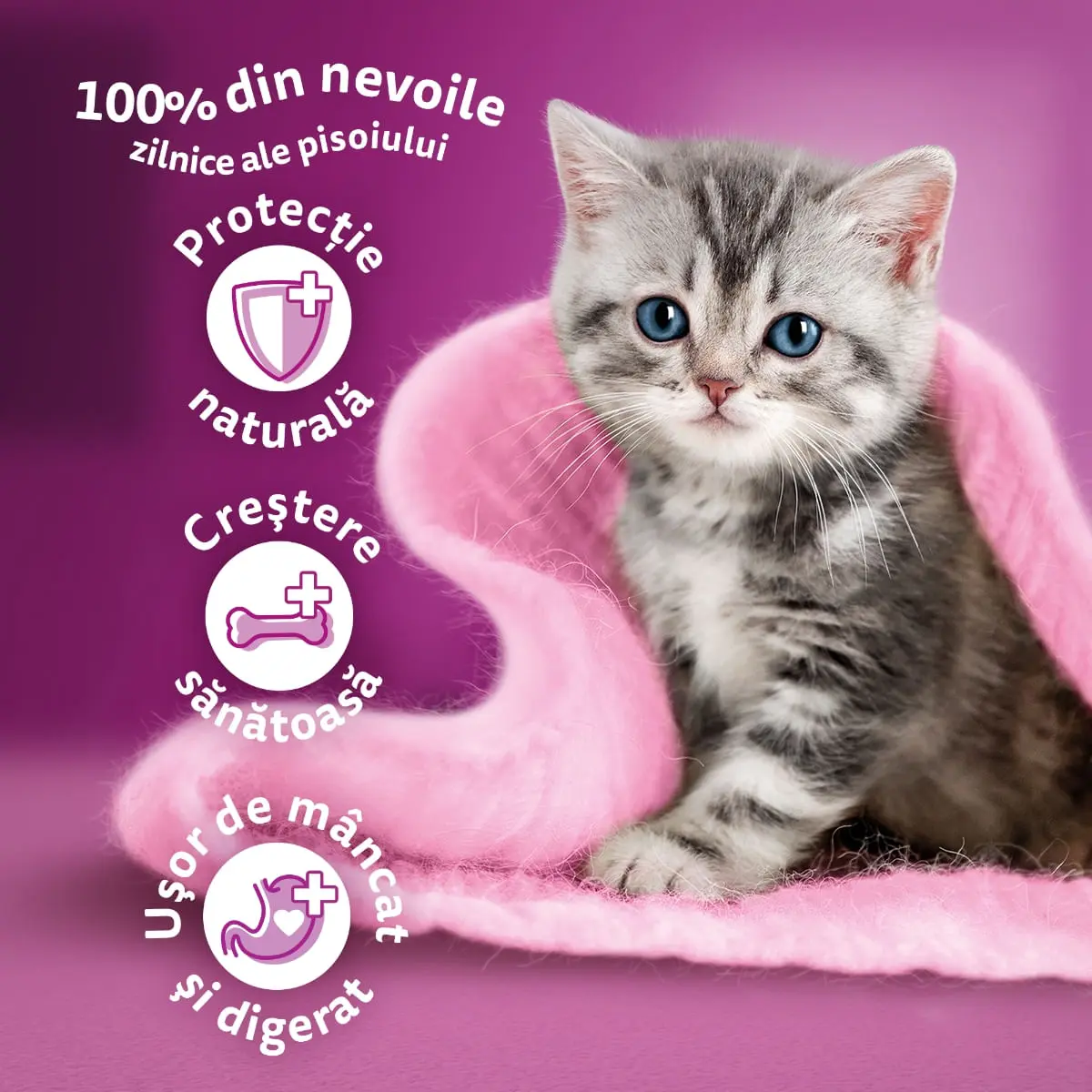WHISKAS Junior, Pui, hrana uscata pisici junior, 800g - Image 9