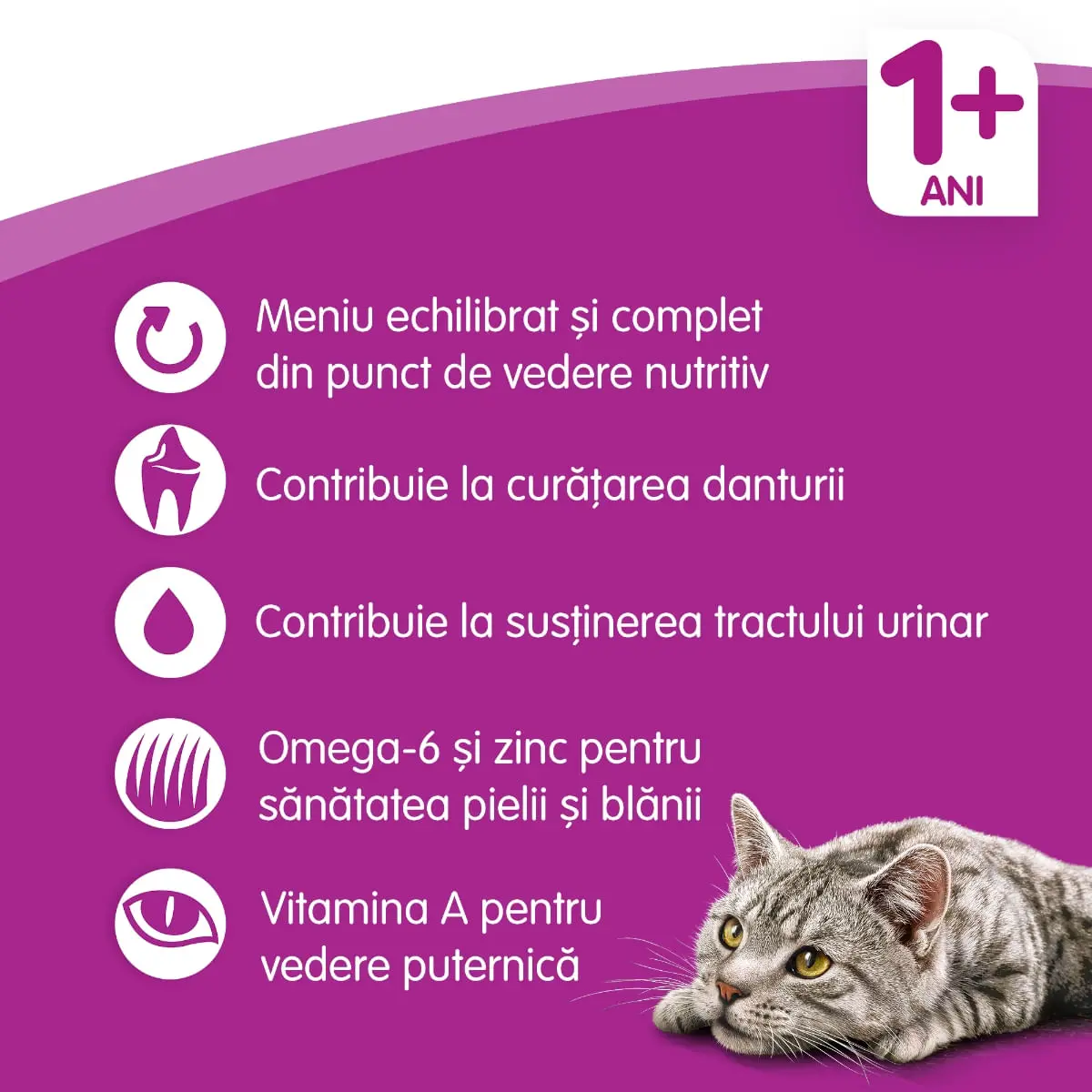 WHISKAS Adult, Vita, hrana uscata pisici, 14kg - Image 15