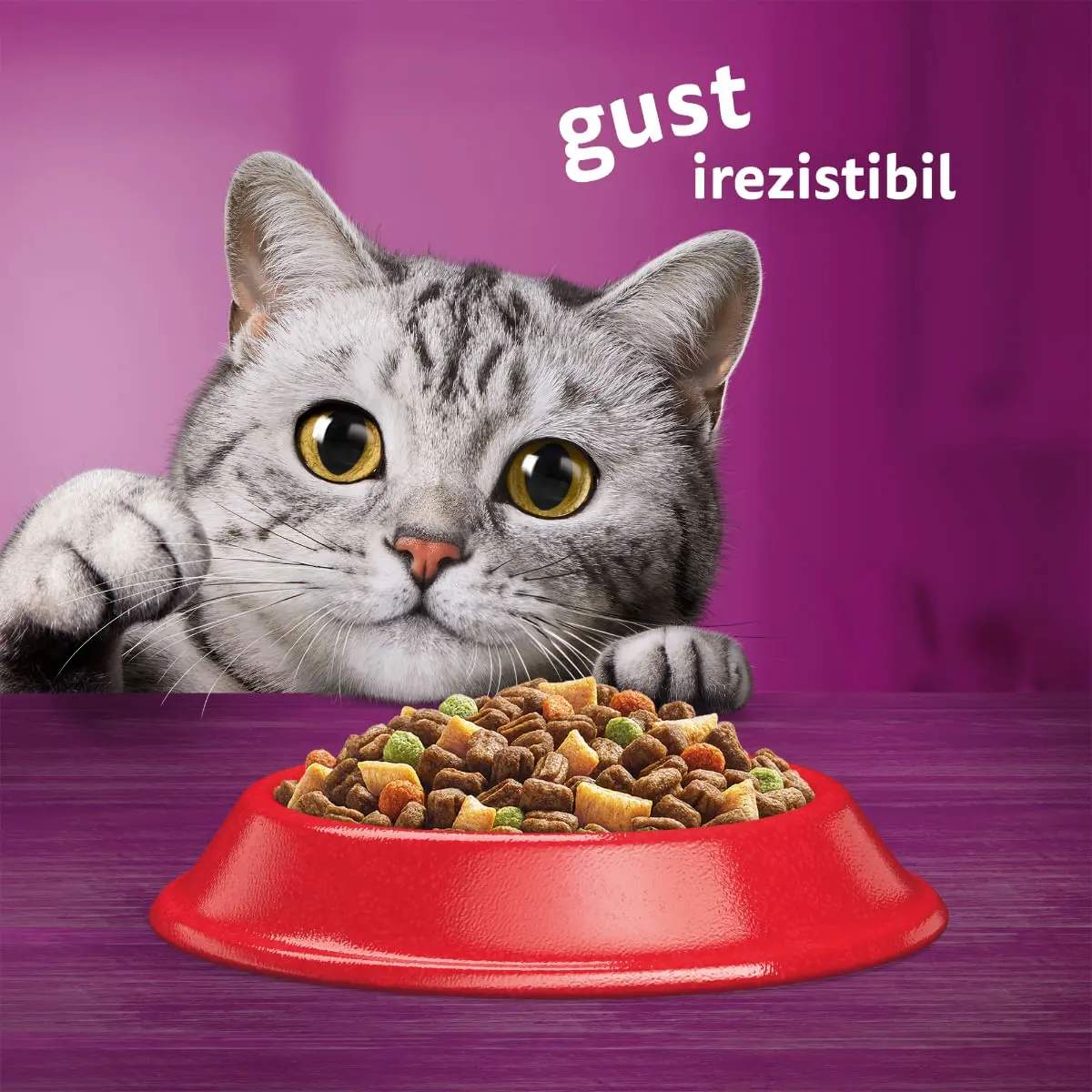WHISKAS Adult, Vita, hrana uscata pisici, 1.4kg - Image 10
