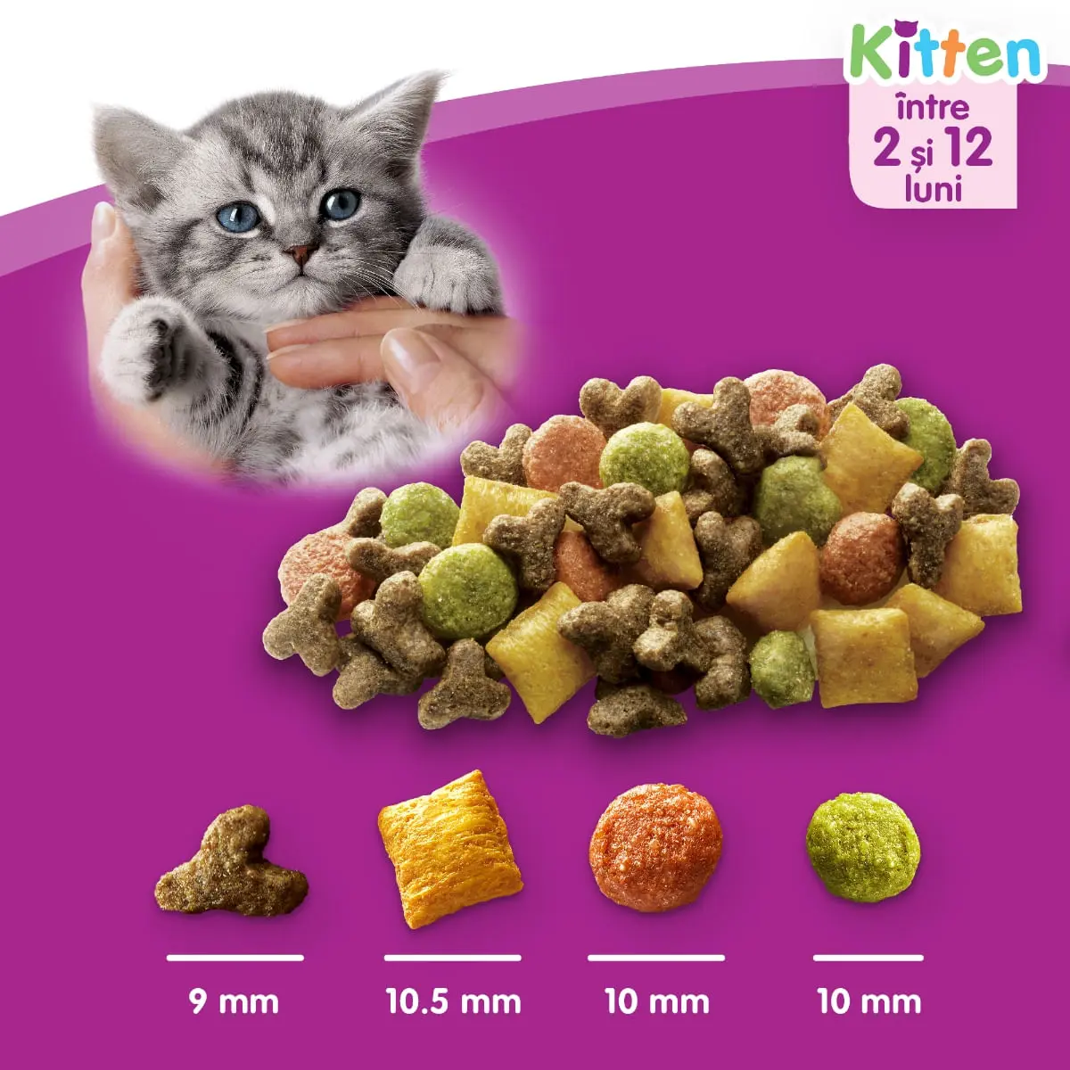 WHISKAS Junior, Pui, hrana uscata pisici junior, 14kg - Image 17