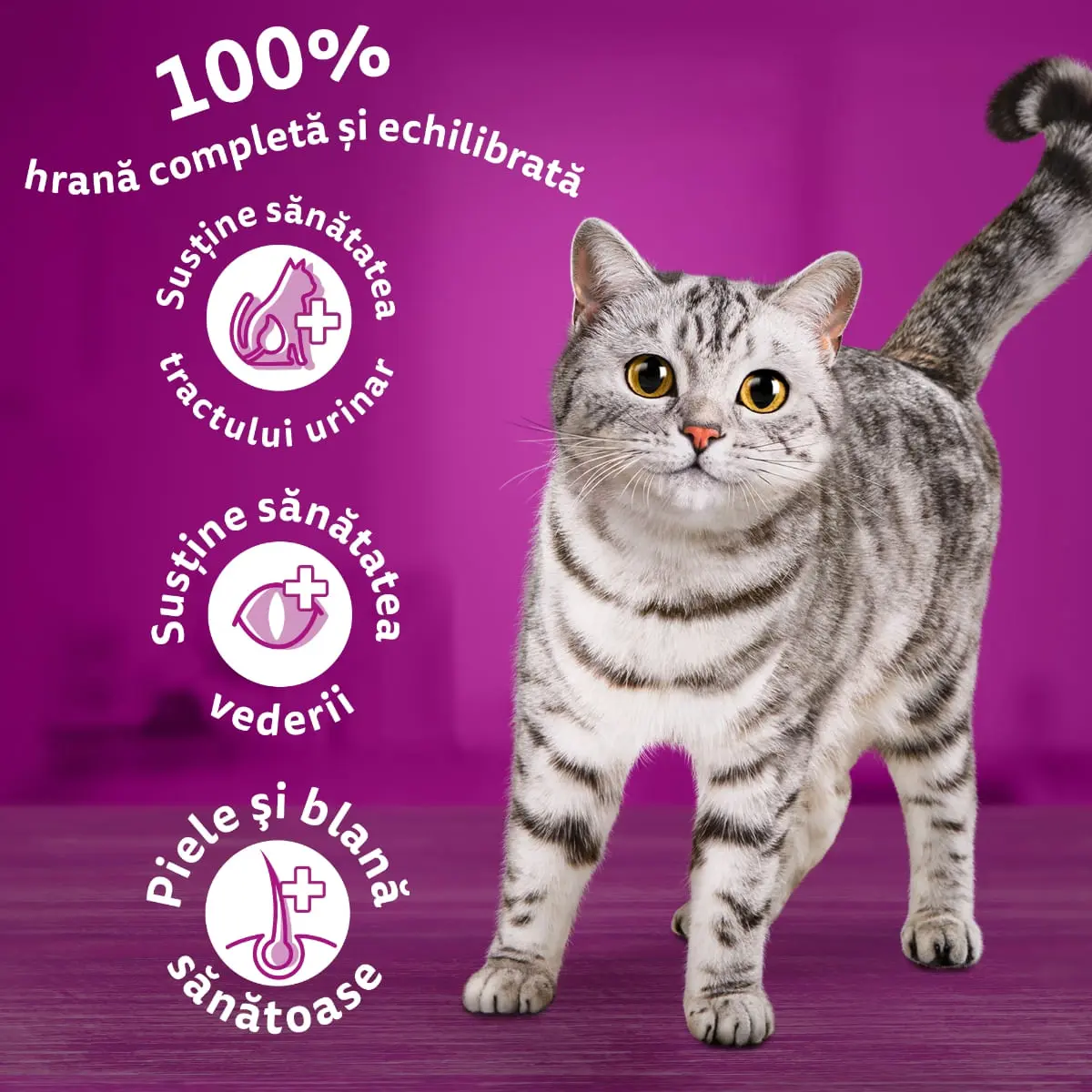 WHISKAS Adult, Vita, hrana uscata pisici, 1.4kg - Image 11