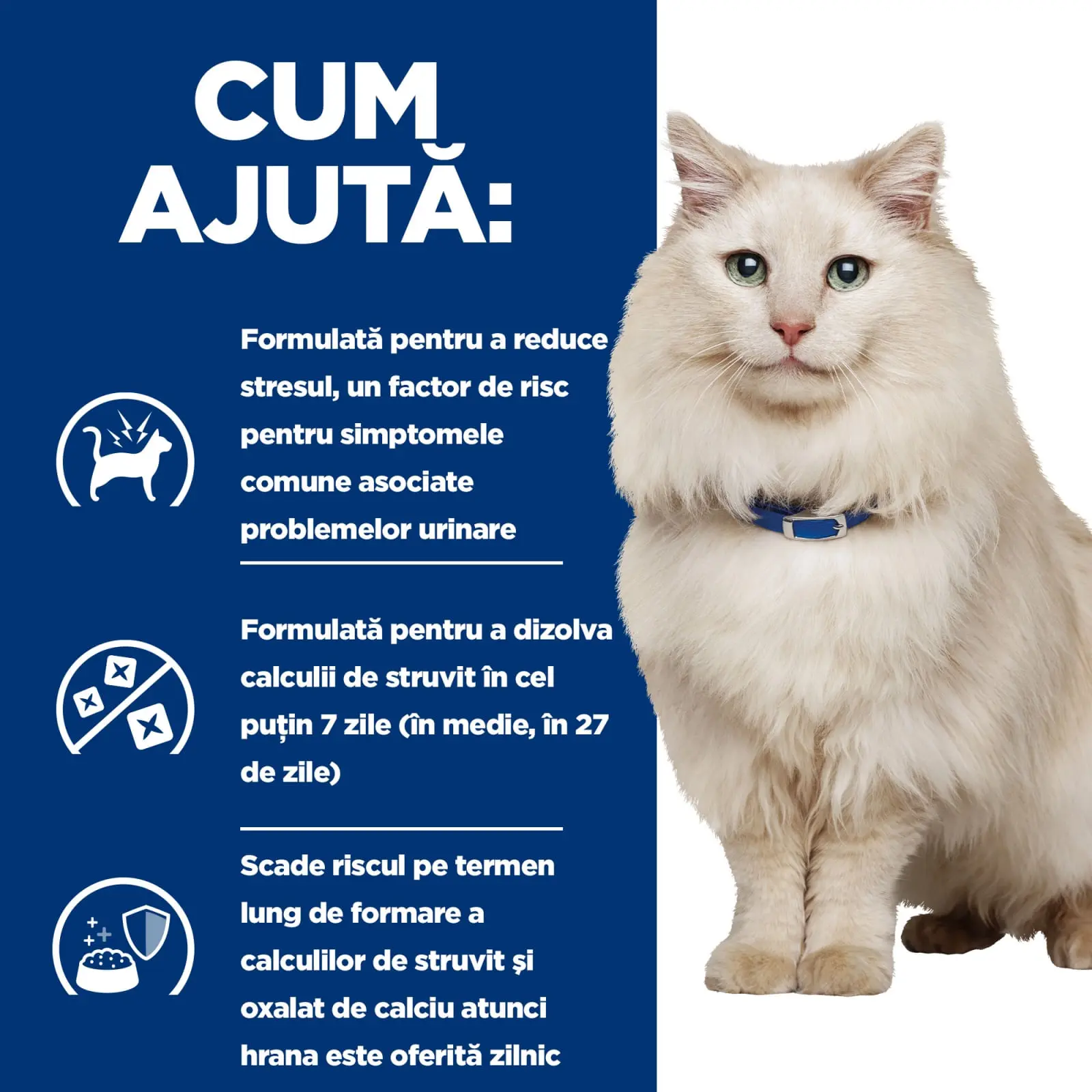 HILL'S PRESCRIPTION DIET c/d, Pui, dieta veterinara, plic hrana umeda pisici, sistem urinar, sistem nervos & calmante, (in sos), bax, 85g x 12buc - Image 3