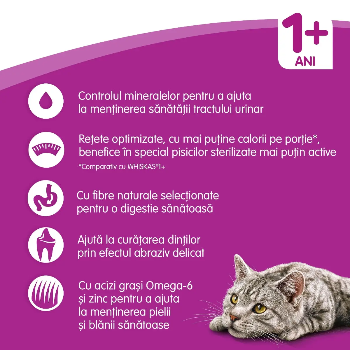 WHISKAS Adult Sterile, Pui, hrana uscata pisici sterilizate, 14kg - Image 8