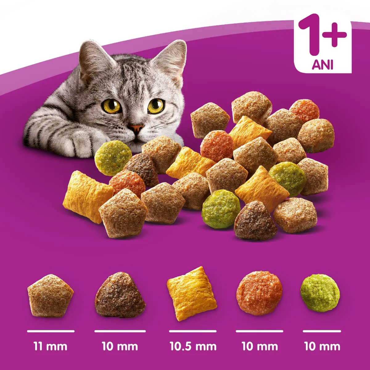 WHISKAS Adult Sterile, Pui, hrana uscata pisici sterilizate, 14kg - Image 17