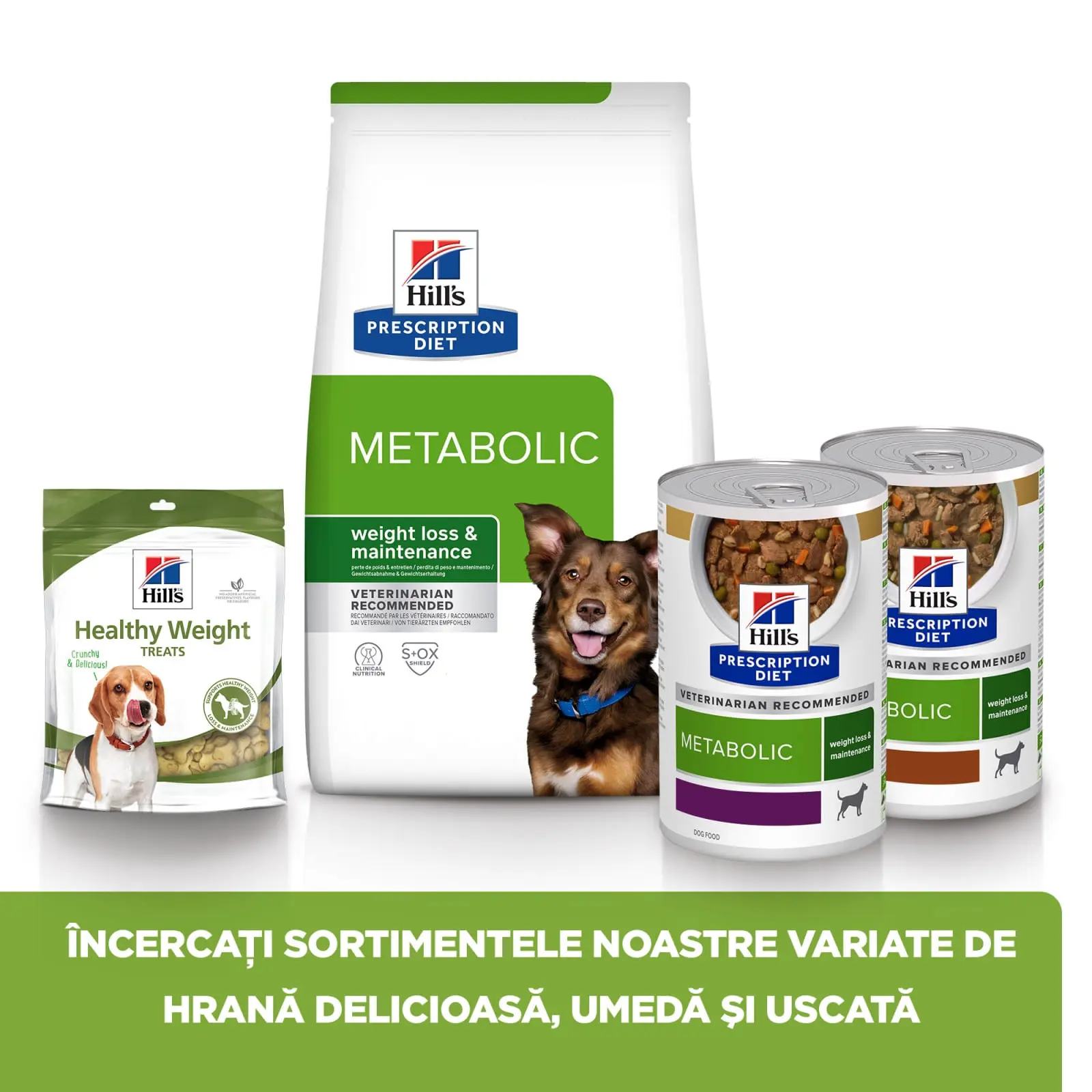 HILL'S Prescription Diet Metabolic, Pui, dieta veterinara caini, hrana uscata, afectiuni metabolice (obezitate) HILL'S Prescription Diet Metabolic, Pui, dieta veterinara caini, hrana uscata, metabolism (obezitate si diabet), 1.5kg - Image 11