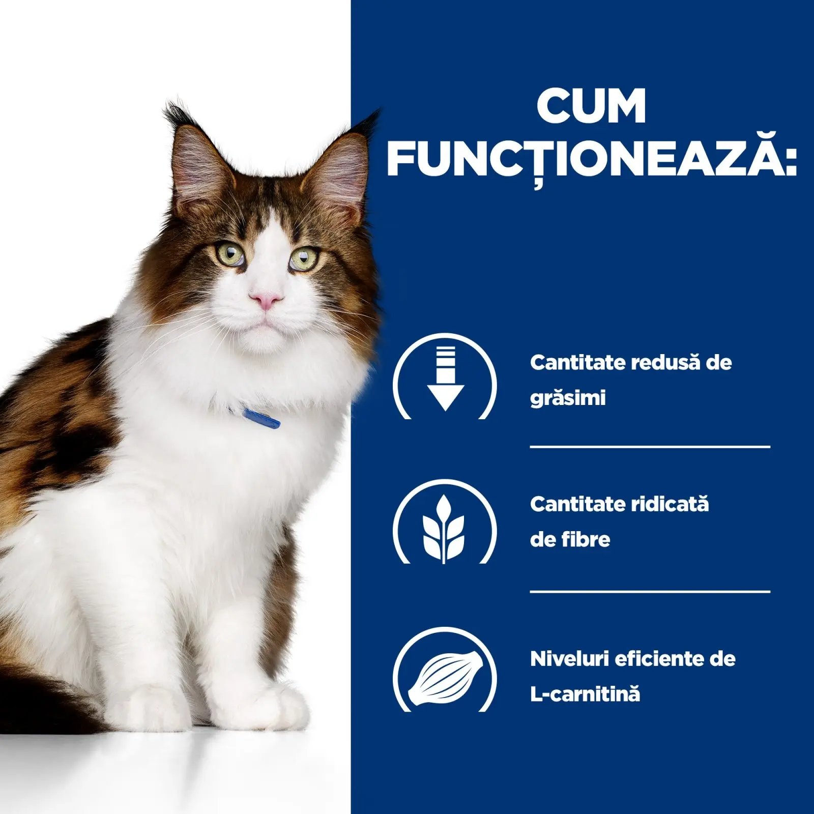HILL'S Prescription Diet w/d Multi-Benefit, Pui, dieta veterinara pisici, hrana uscata, afectiuni metabolice (diabet) HILL'S Prescription Diet w/d Multi-Benefit, Pui, dieta veterinara pisici, hrana uscata, metabolism (obezitate si diabet), 3kg - Image 6