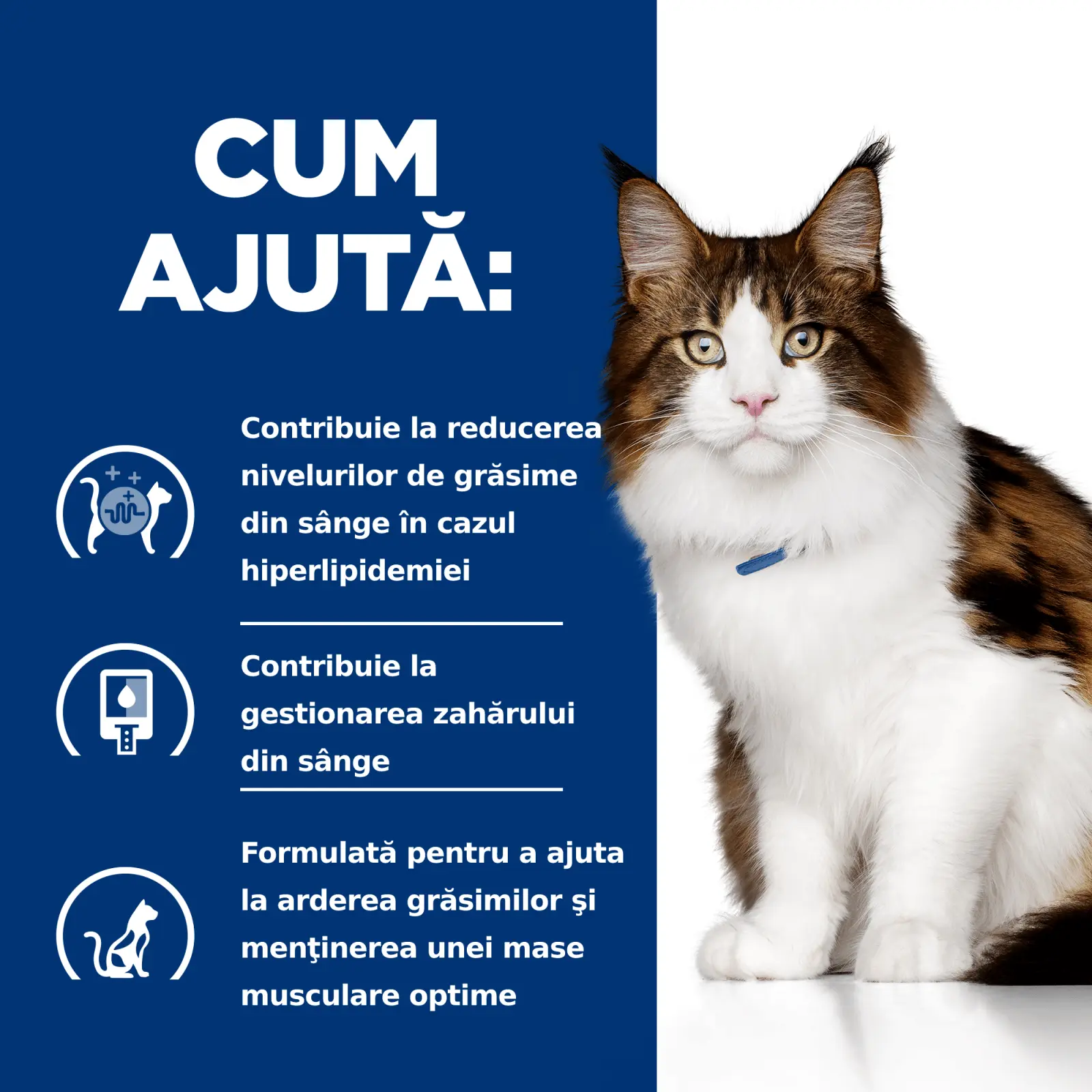 HILL'S Prescription Diet w/d Multi-Benefit, Pui, dieta veterinara pisici, hrana uscata, afectiuni metabolice (diabet) HILL'S Prescription Diet w/d Multi-Benefit, Pui, dieta veterinara pisici, hrana uscata, metabolism (obezitate si diabet), 1.5kg - Image 8