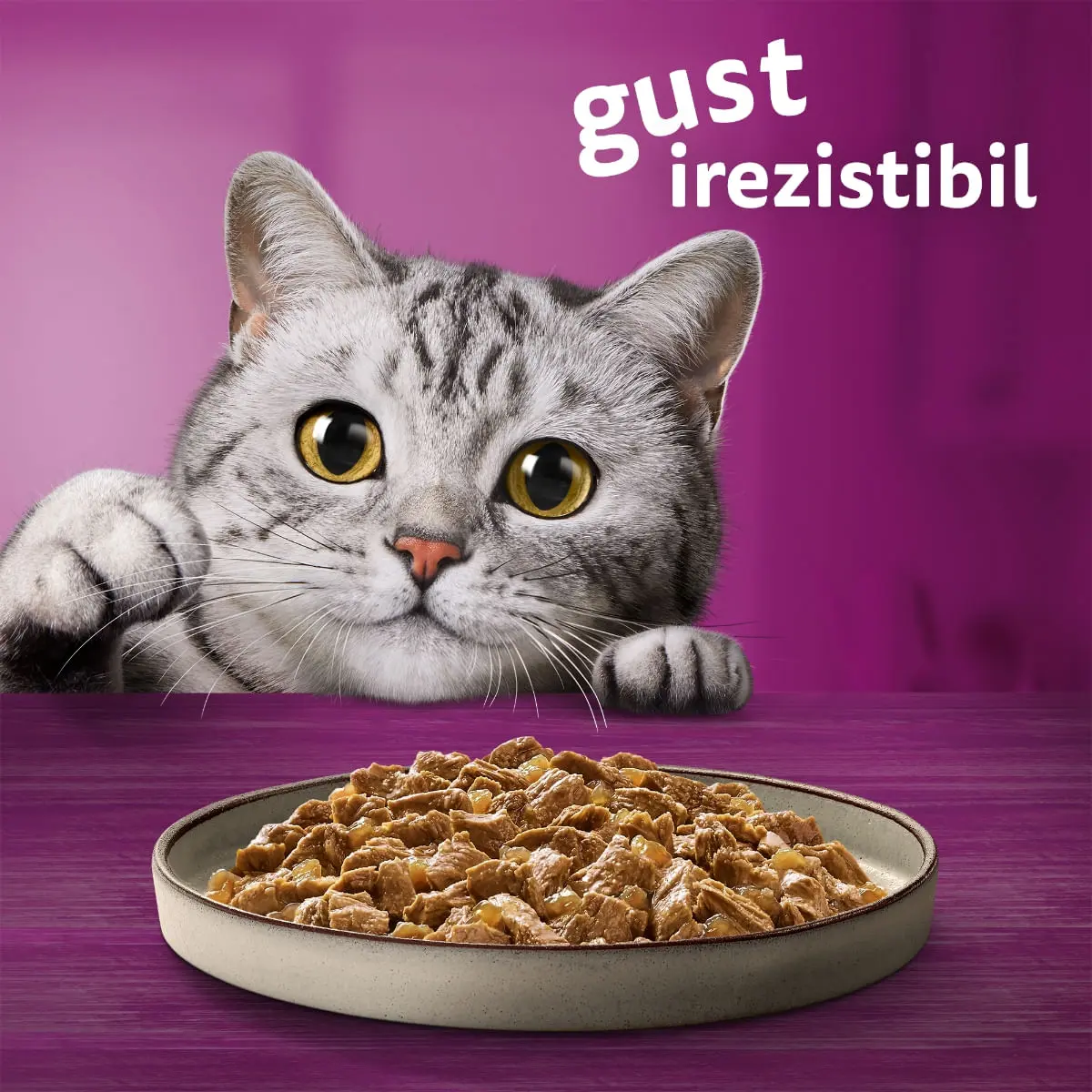 WHISKAS Pure Delight, Pui, plic hrana umeda pisici, (in aspic), 85g - Image 2