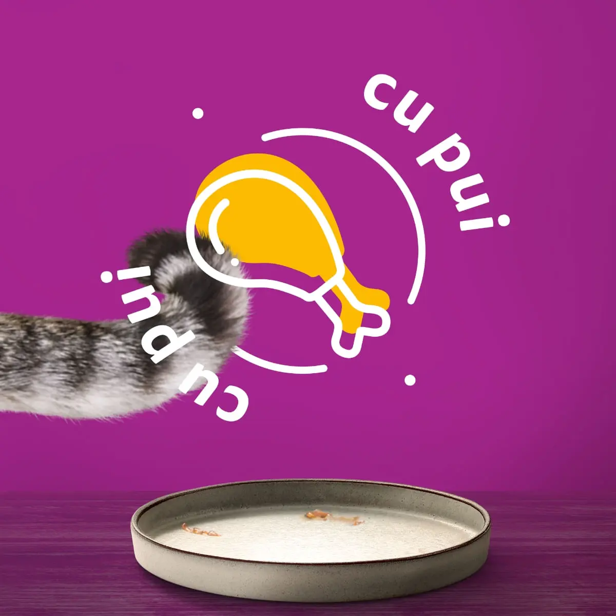 WHISKAS Pure Delight, Pui, plic hrana umeda pisici, (in aspic), 85g - Image 8