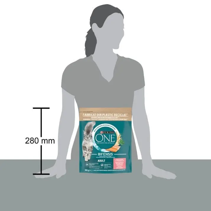 PURINA One Adult, Somon cu Cereale Integrale, hrana uscata pisici, 800g - Image 2