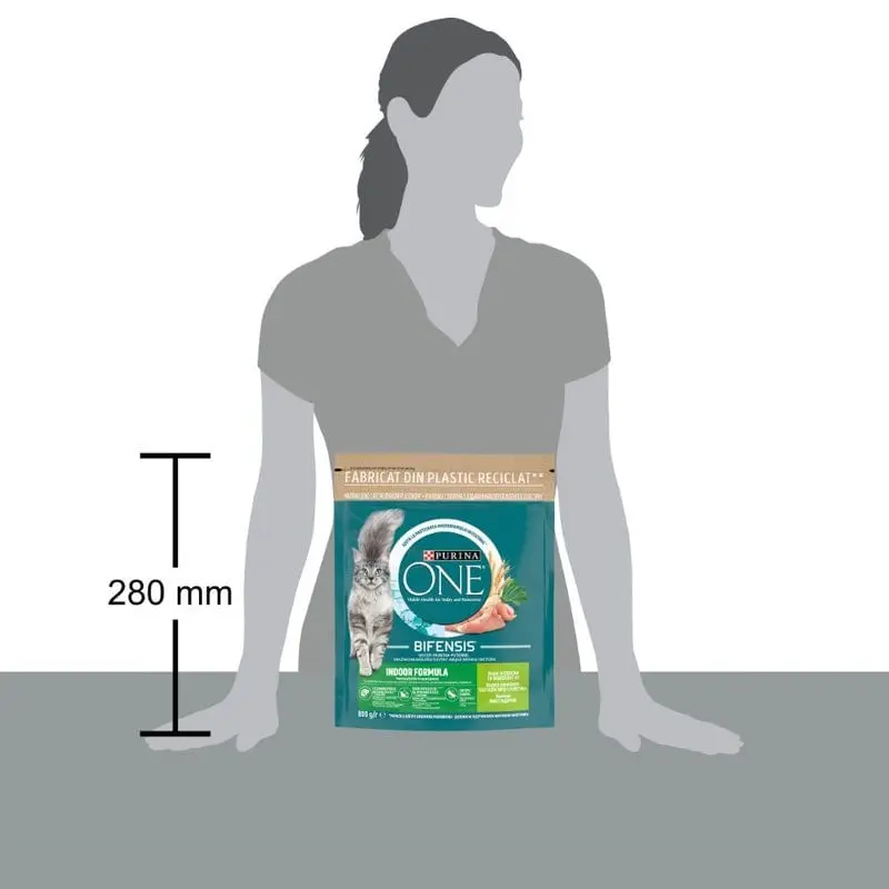 PURINA One Indoor, Curcan cu Cereale Integrale, hrana uscata pisici, 800g - Image 2