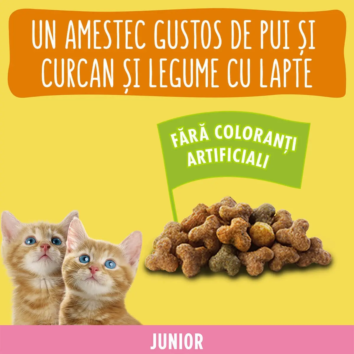 PURINA Friskies Junior, Pui si Curcan, hrana uscata pisici junior, 10kg - Image 3