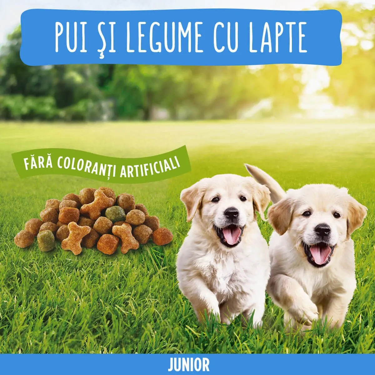 PURINA Friskies Junior, Pui cu Legume, hrana uscata caini junior, 2.4kg - Image 2
