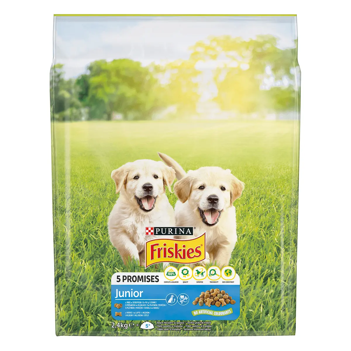 PURINA Friskies Junior, Pui cu Legume, hrana uscata caini junior, 2.4kg