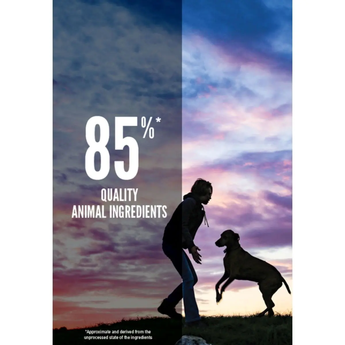 ORIJEN Puppy Large, hrana uscata fara cereale caini junior ORIJEN Puppy Large Breed, L-XL, Pui si Curcan, hrana uscata fara cereale caini junior, 11.4kg - Image 4