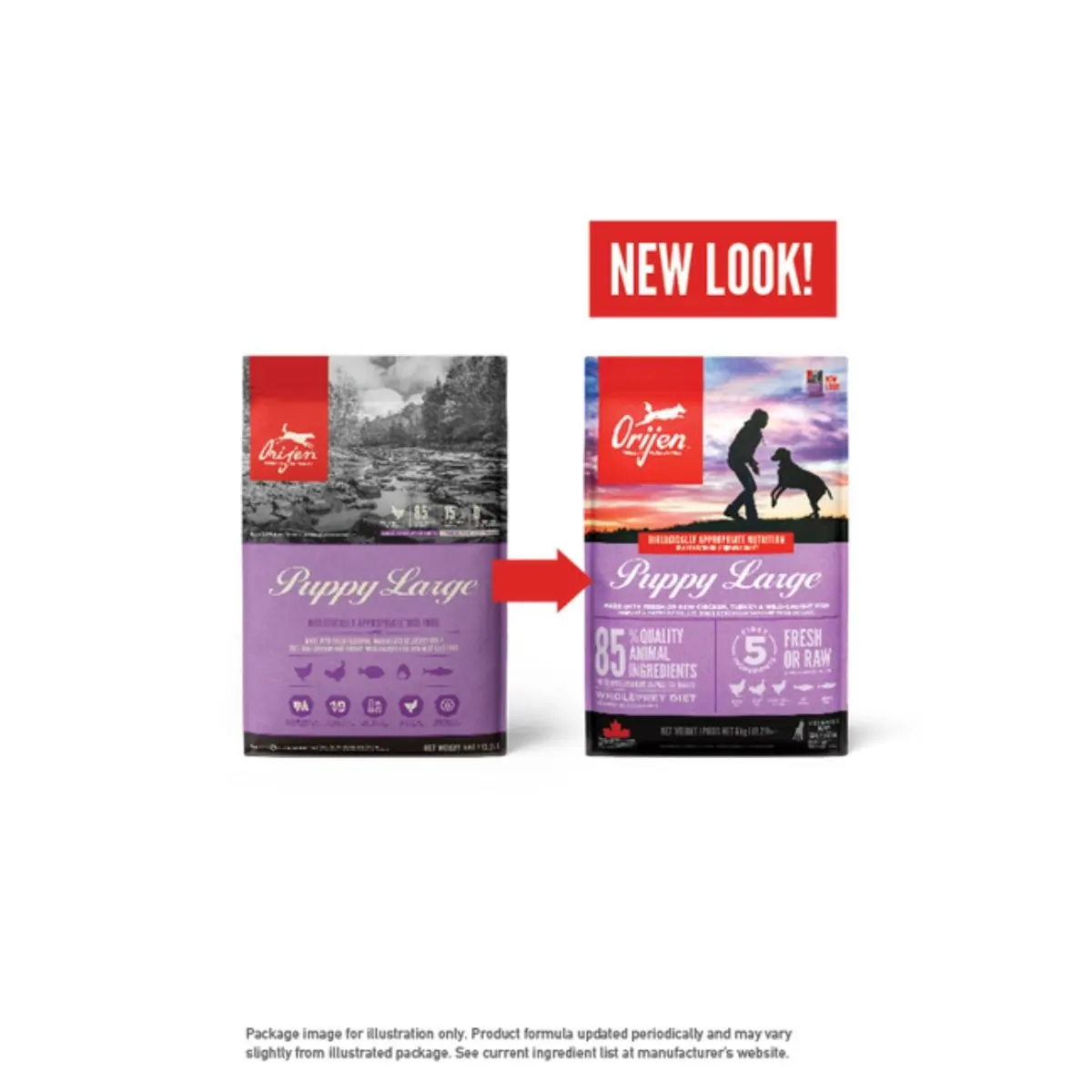 ORIJEN Puppy Large, hrana uscata fara cereale caini junior ORIJEN Puppy Large Breed, L-XL, Pui si Curcan, hrana uscata fara cereale caini junior, 11.4kg - Image 7