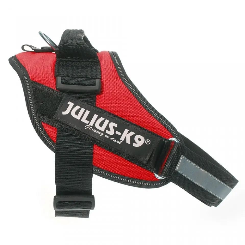 JULIUS-K9 IDC Power Single Colored, ham caini JULIUS-K9 IDC Power, ham caini, L, 23-30kg, rosu - Image 2