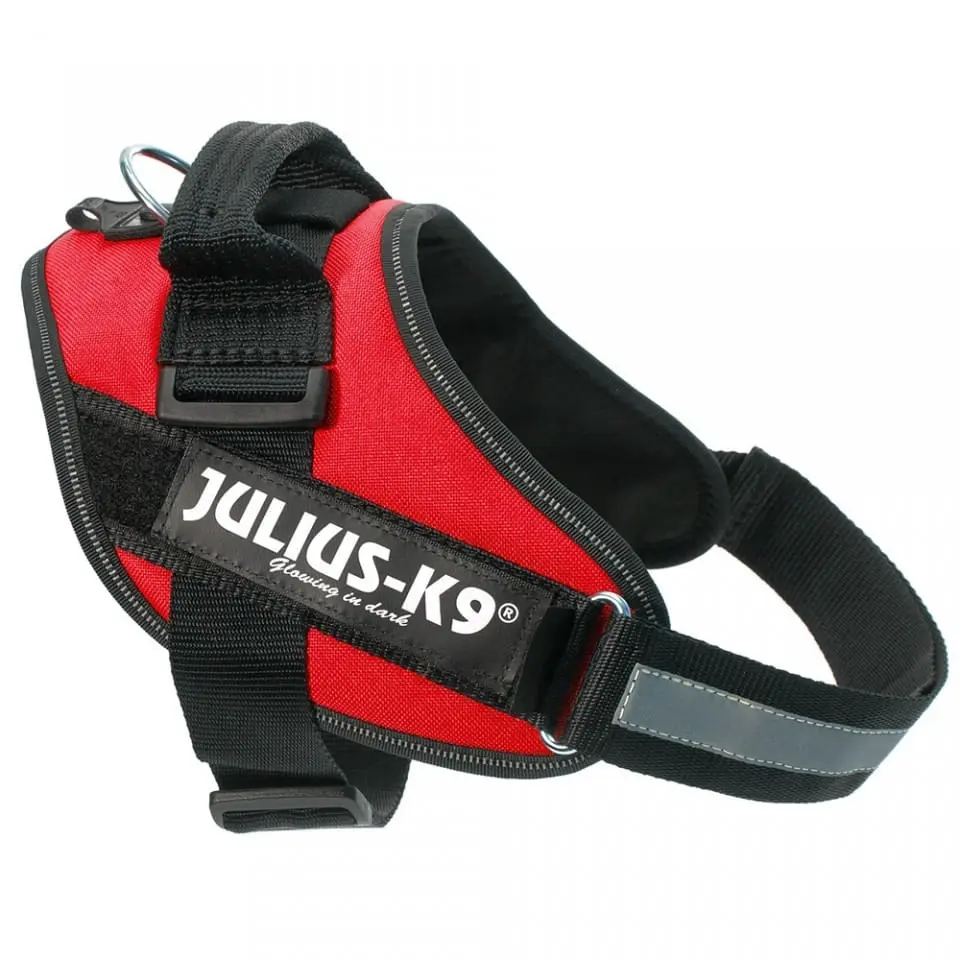 JULIUS-K9 IDC Power Single Colored, ham caini JULIUS-K9 IDC Power, ham caini, L, 23-30kg, rosu - Image 4