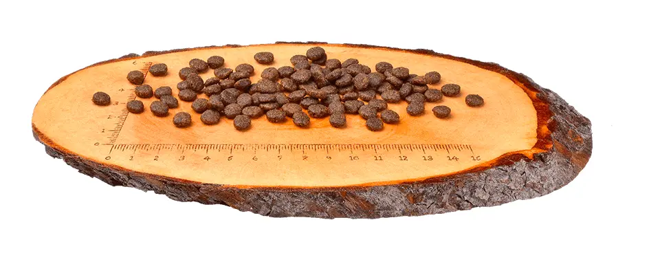 CARNILOVE Fresh Gourmand, Pui si Iepure, hrana uscata fara cereale pisici, apetit capricios, 6kg - Image 3