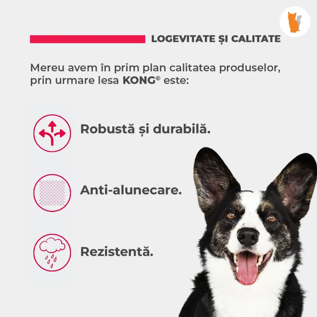 Lesa Retractabila Kong Explore, 7.5m-50 Kg, Rosu - Image 8