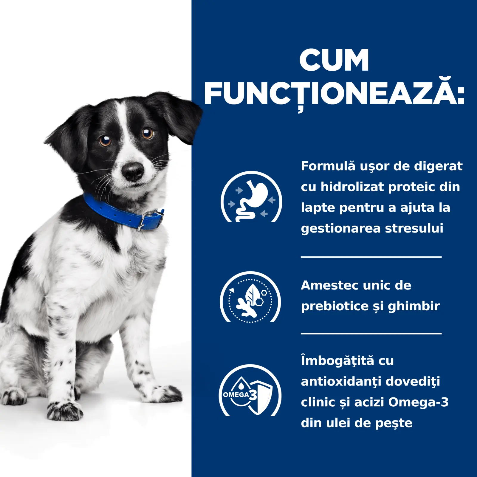 HILL'S Prescription Diet i/d Digestive Care Stress, Pui cu Legume, dieta veterinara caini, conserva hrana umeda, sistem digestiv, (in sos), 156g - Image 10