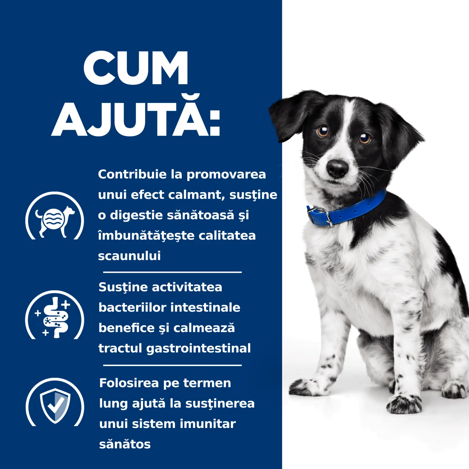 HILL'S Prescription Diet i/d Digestive Care Stress, Pui cu Legume, dieta veterinara caini, conserva hrana umeda, sistem digestiv, (in sos), 156g - Image 11