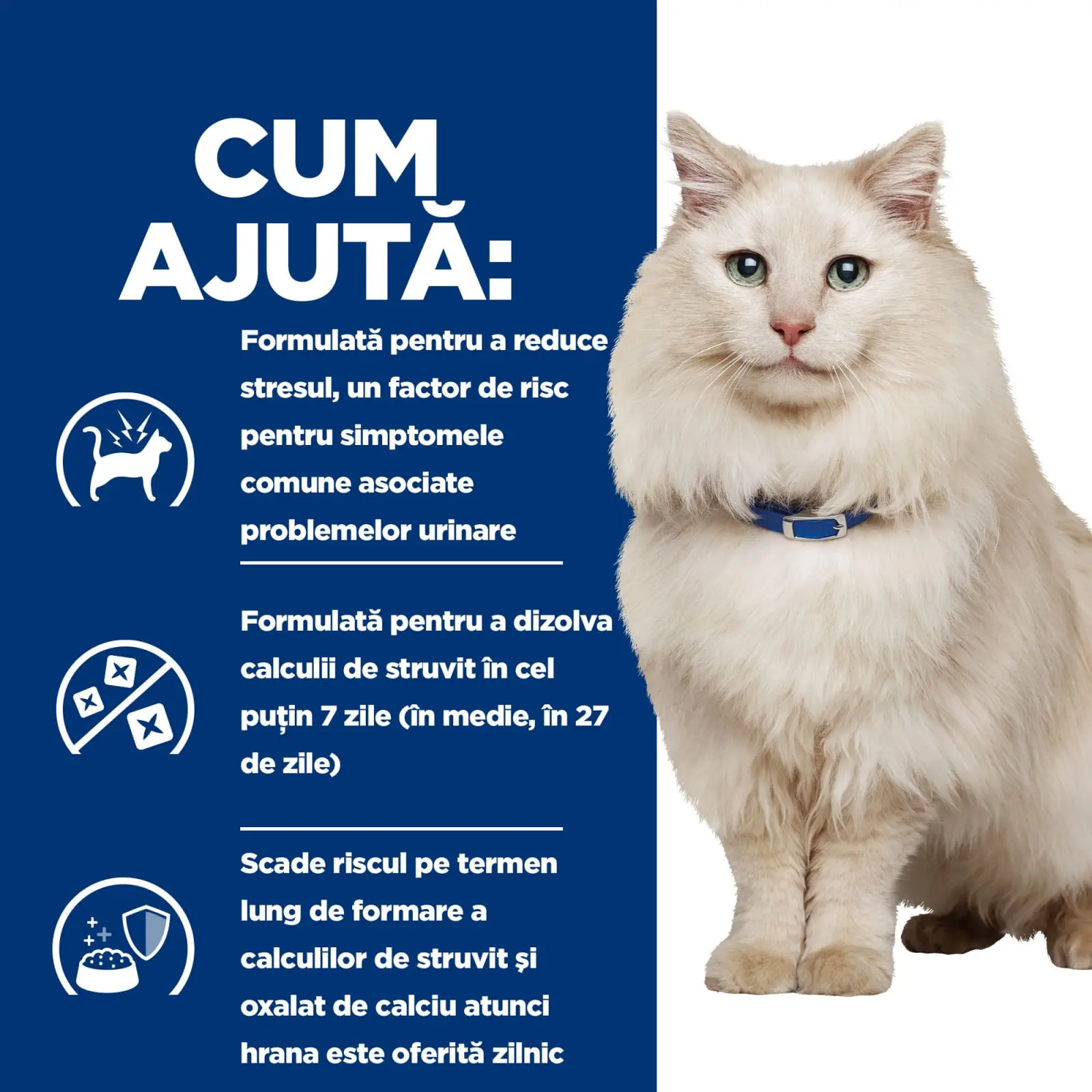 HILL'S Prescription Diet c/d Multicare Stress, Pui cu Legume, dieta veterinara pisici, conserva hrana umeda, sistem urinar, (in sos), 82g - Image 20