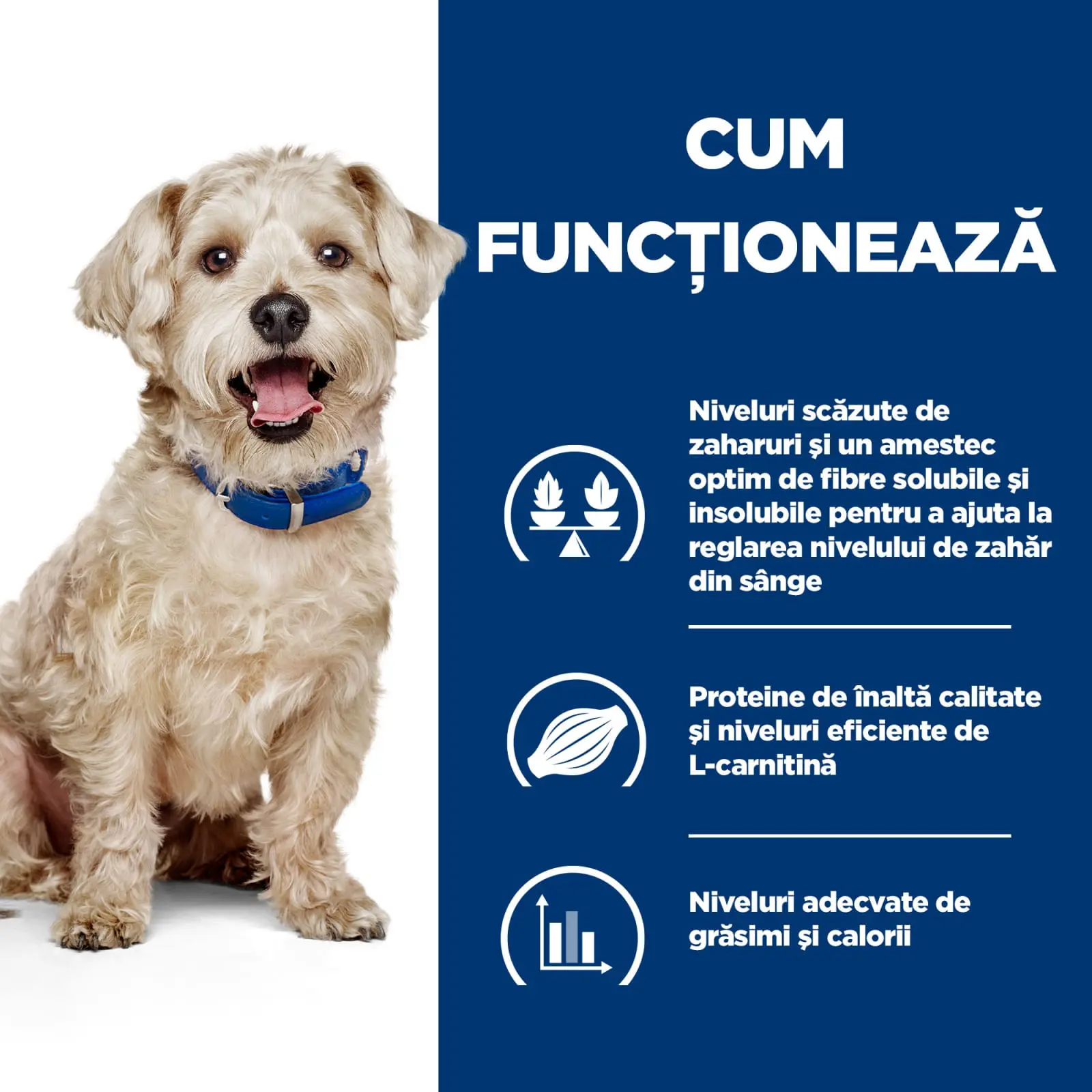 HILL'S Prescription Diet w/d Diabetes Care, Pui, dieta veterinara caini, hrana uscata, afectiuni metabolice (diabet) HILL'S Prescription Diet w/d Diabetes Care, Pui, dieta veterinara caini, hrana uscata, metabolism ( obezitate si diabet), 10kg - Image 9