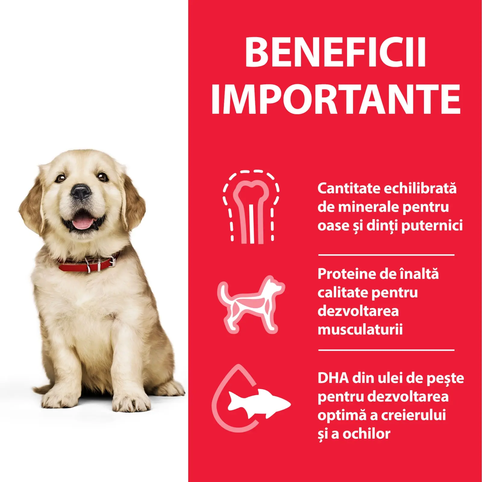 HILL'S Science Plan Puppy L, Pui, hrana uscata caini junior Hill's SP Canine Puppy Large Breed Pui, Value Pack, 16 Kg - Image 6