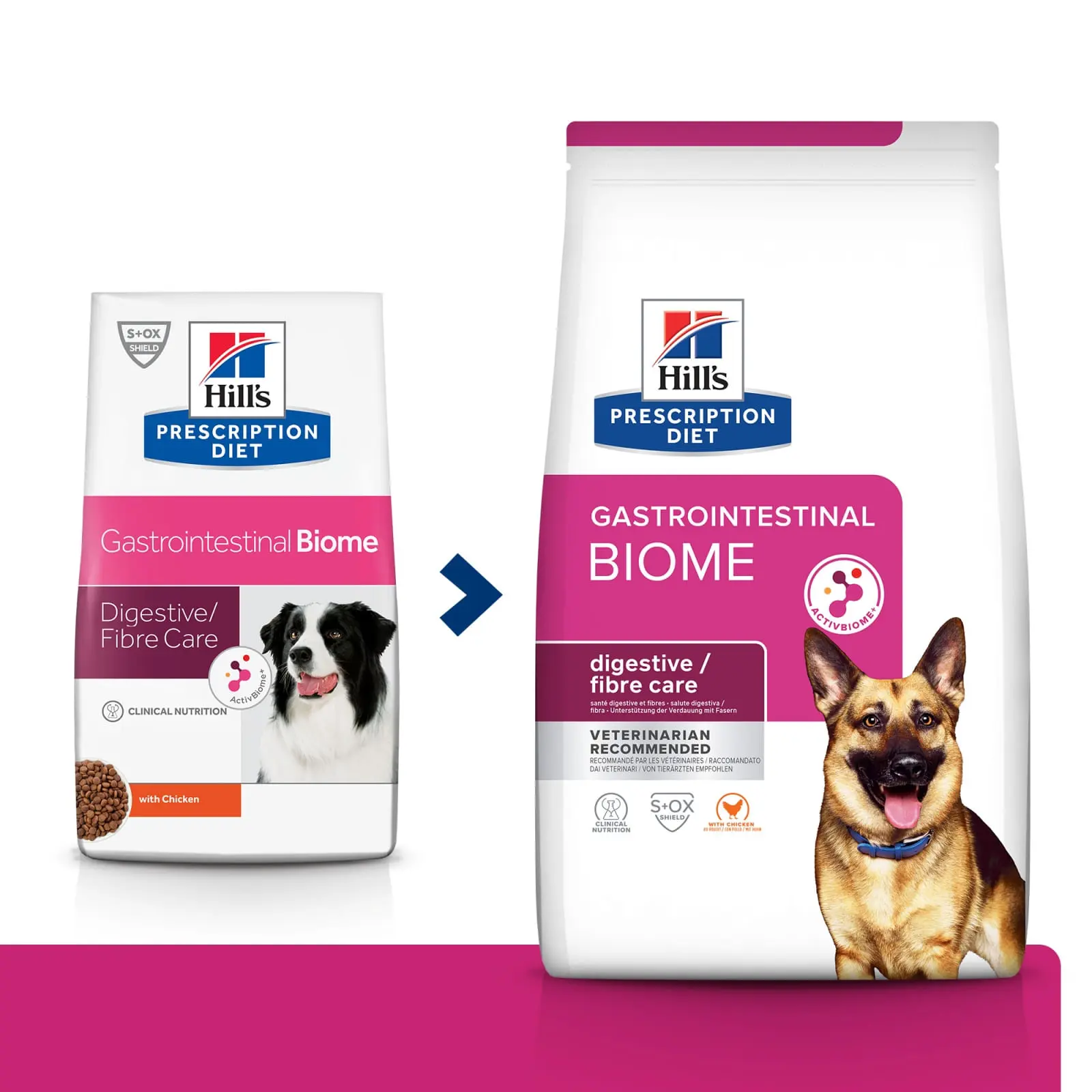 HILL'S Prescription Diet Gastrointestinal Biome, Pui, dieta veterinara caini, hrana uscata, afectiuni digestive HILL'S Prescription Diet Gastrointestinal Biome, Pui, dieta veterinara caini, hrana uscata, sistem digestiv, 10kg