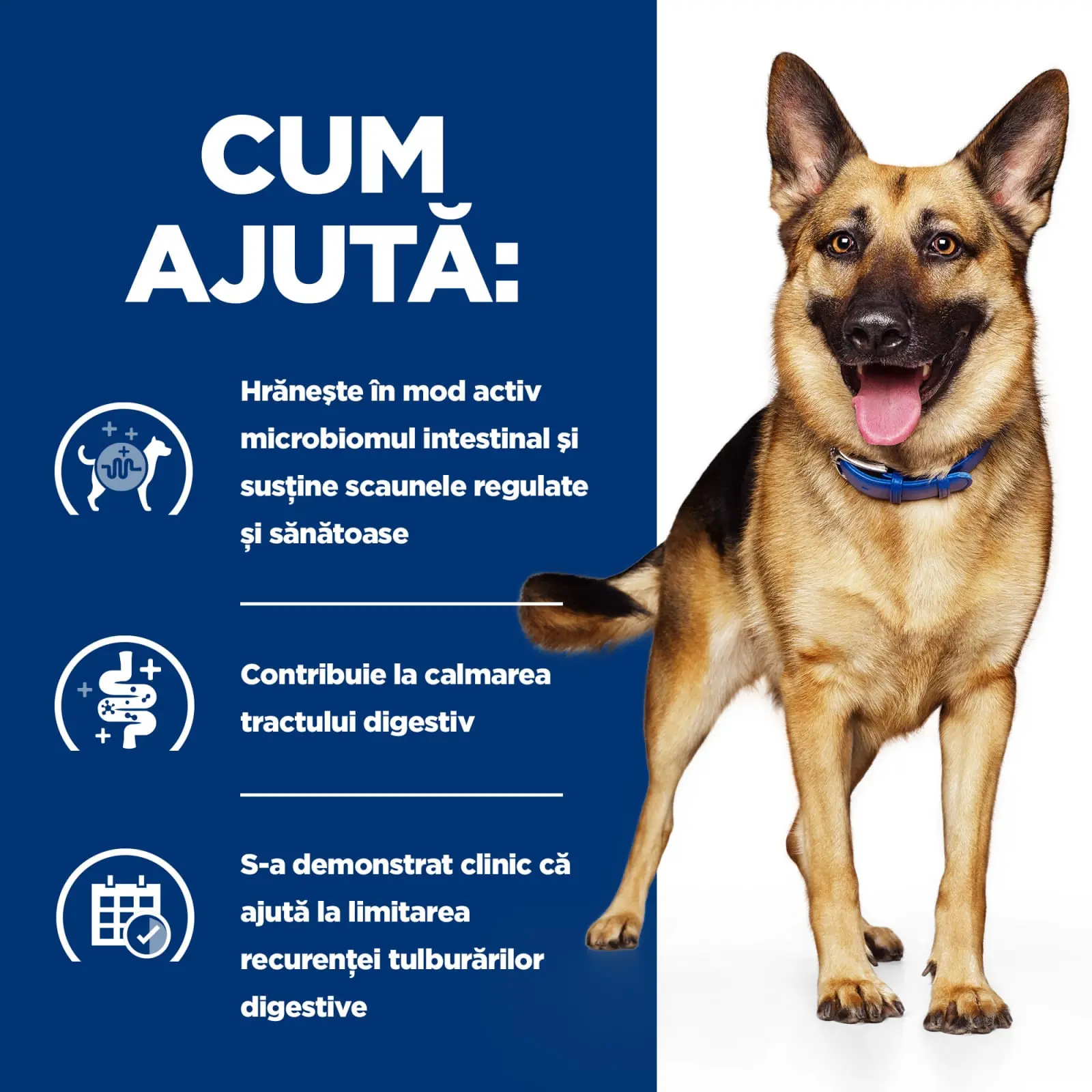 HILL'S Prescription Diet Gastrointestinal Biome, Pui, dieta veterinara caini, hrana uscata, afectiuni digestive HILL'S Prescription Diet Gastrointestinal Biome, Pui, dieta veterinara caini, hrana uscata, sistem digestiv, 1.5kg - Image 4